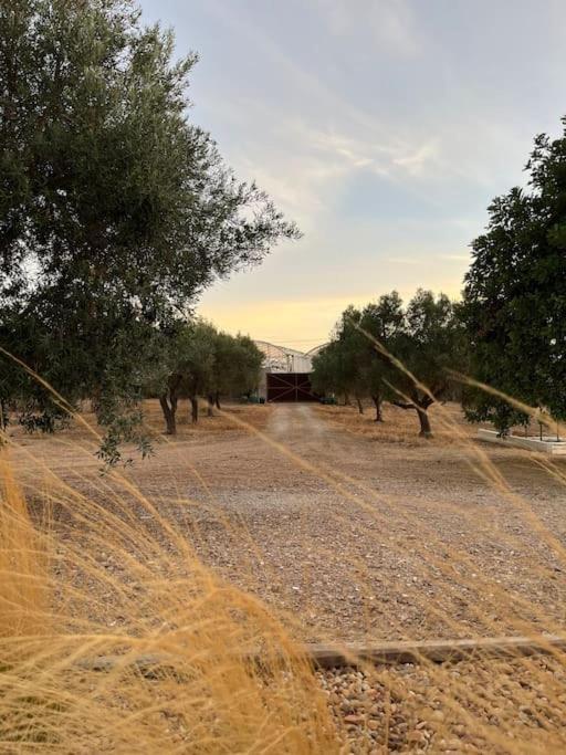 Quinta Da Alfarrobeira Peaceful Countryside Stay FAO Eksteriør billede