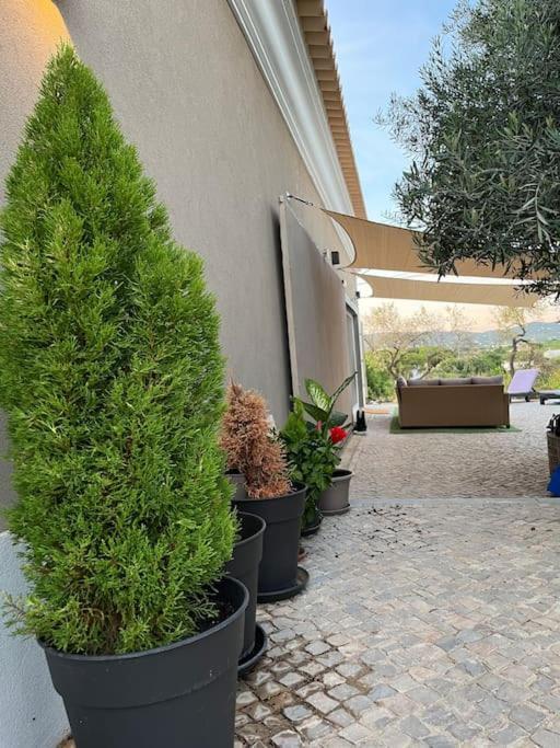 Quinta Da Alfarrobeira Peaceful Countryside Stay FAO Eksteriør billede