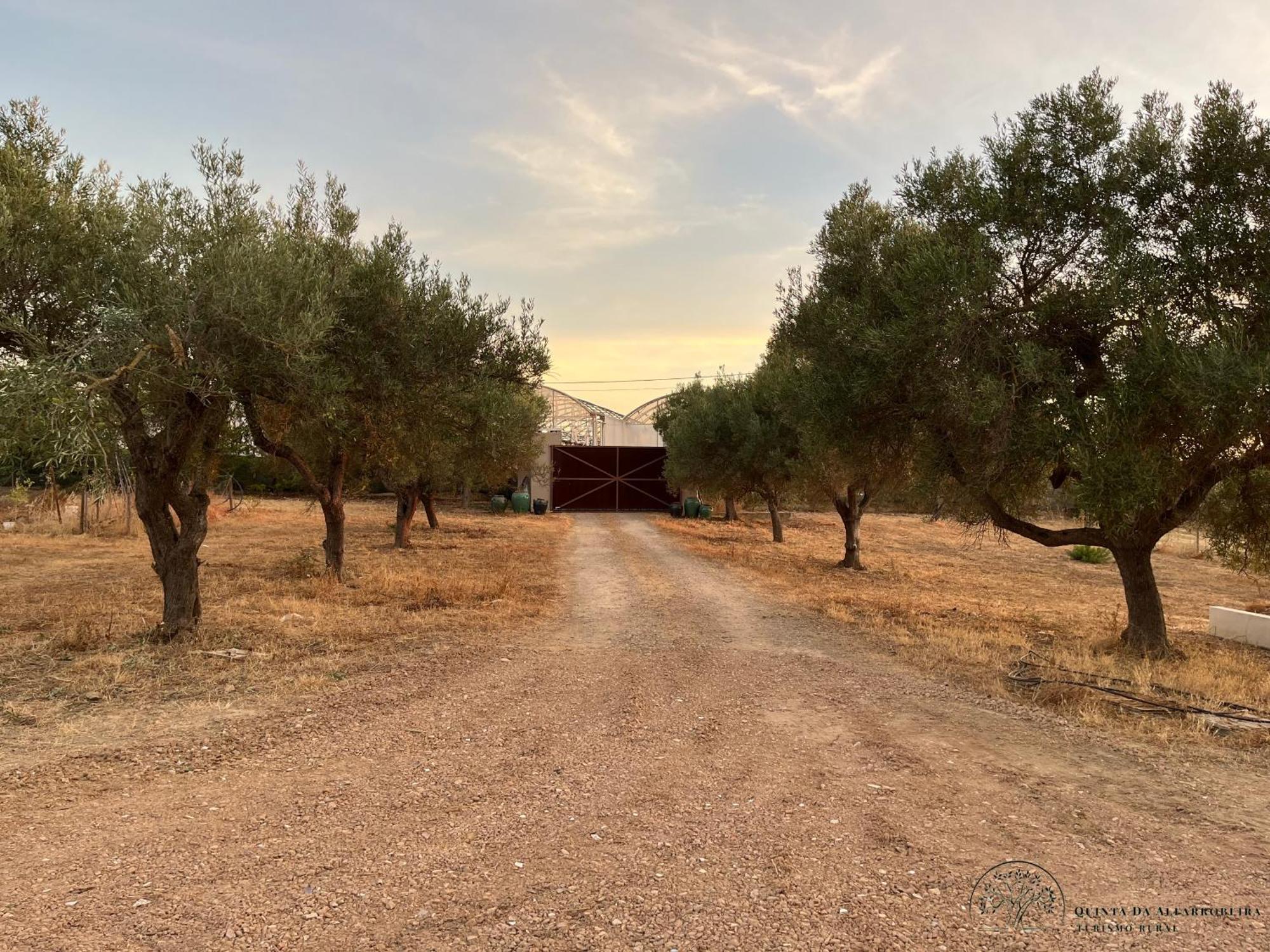Quinta Da Alfarrobeira Peaceful Countryside Stay FAO Eksteriør billede